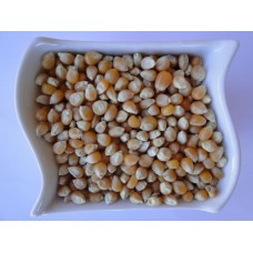 Kukurydza ziarno (popkorn) (1kg)