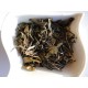 Herbata-Biała Shou Mei (0,1kg)